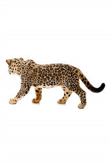Schleich Jaguar - Welcome Baby
