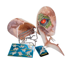 Simba Dinozor Kazı Kiti