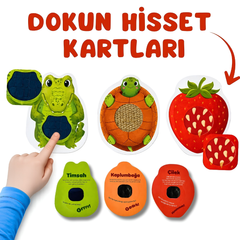Sincap Kitap Ben Bilirim İngilizce Destekli İlk Kitaplarım Magnetli ve Dokun Hisset Kartlı