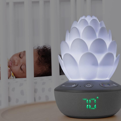 Skip Hop Terra Ağlama Sensörlü Baby Soother