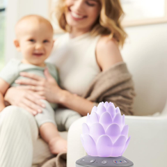 Skip Hop Terra Ağlama Sensörlü Baby Soother