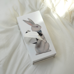 Spextrum Tissue Up Tale Wonder Rabbit Peçetelik Beyaz