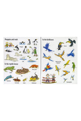 The Usborne First Sticker The Zoo