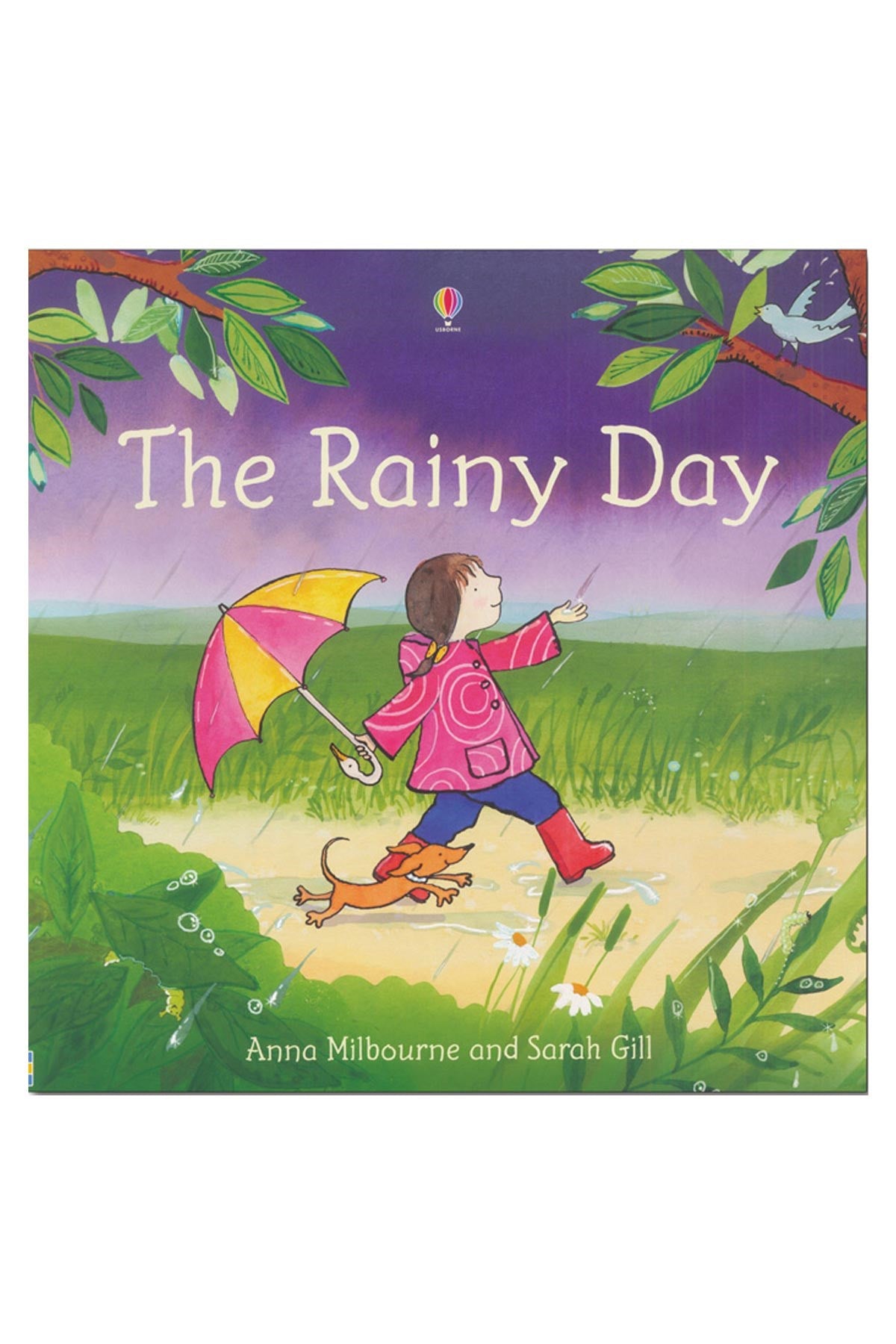 The Usborne Pic The Rainy Day - Welcome Baby