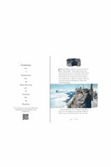 The Usborne Er 3 Frankenstein