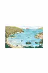 The Usborne Look Inside Seas And Oceans