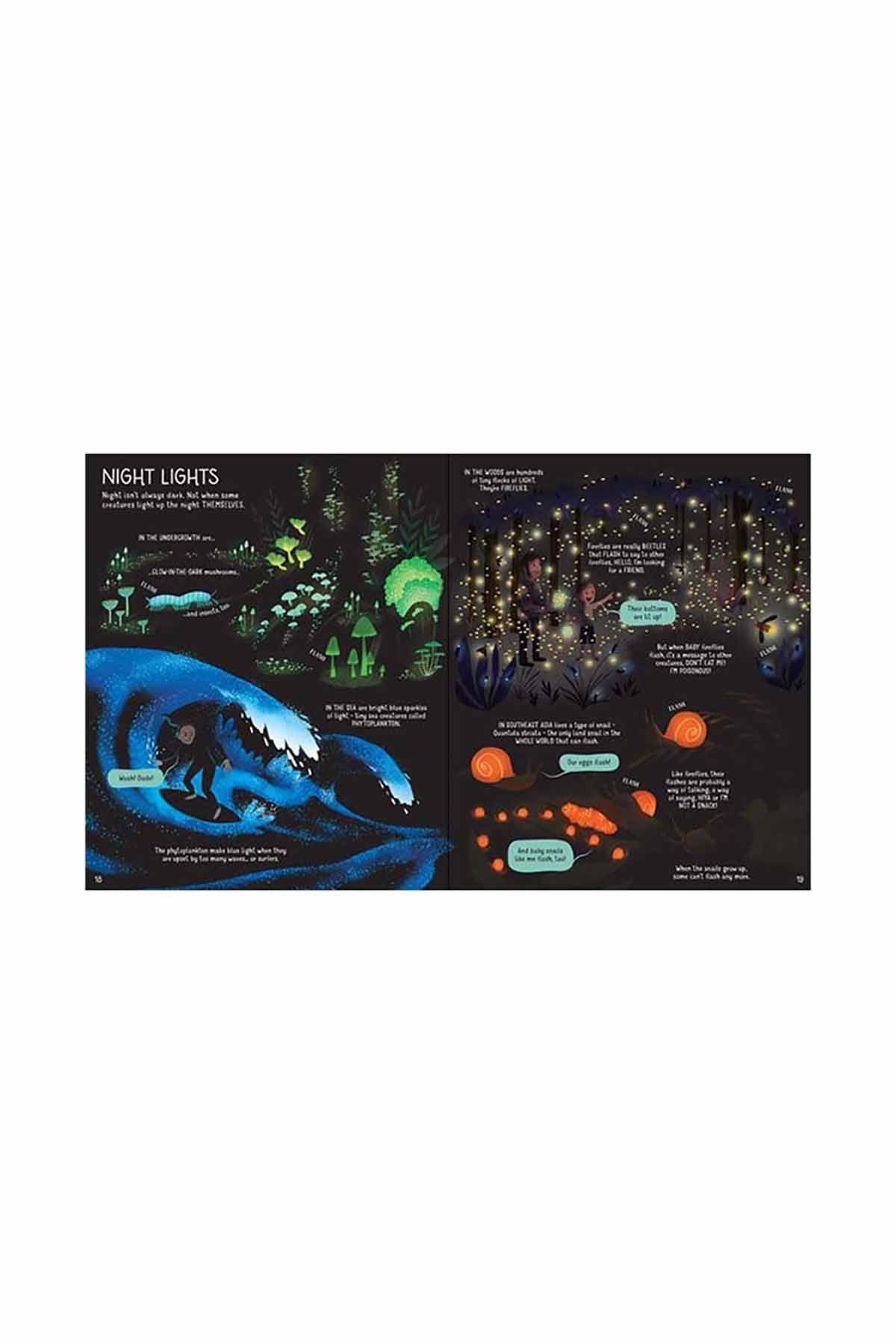 The Usborne The Usborne Book Of Night Time - Welcome Baby