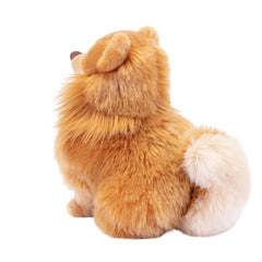 Trudi Pomerian 22347