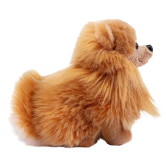 Trudi Pomerian 22347