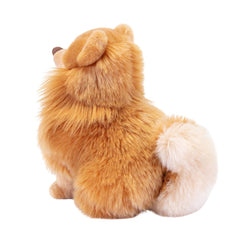 Trudi Pomerian Biscuit 22348