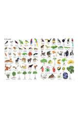 The Usborne 1000 Things In Nature