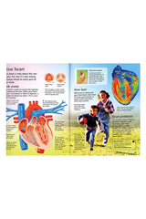 The Usborne Encyclopedia Human Body