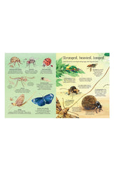 The Usborne Big Book Of Bugs
