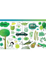 The Usborne Big Book Of Colours