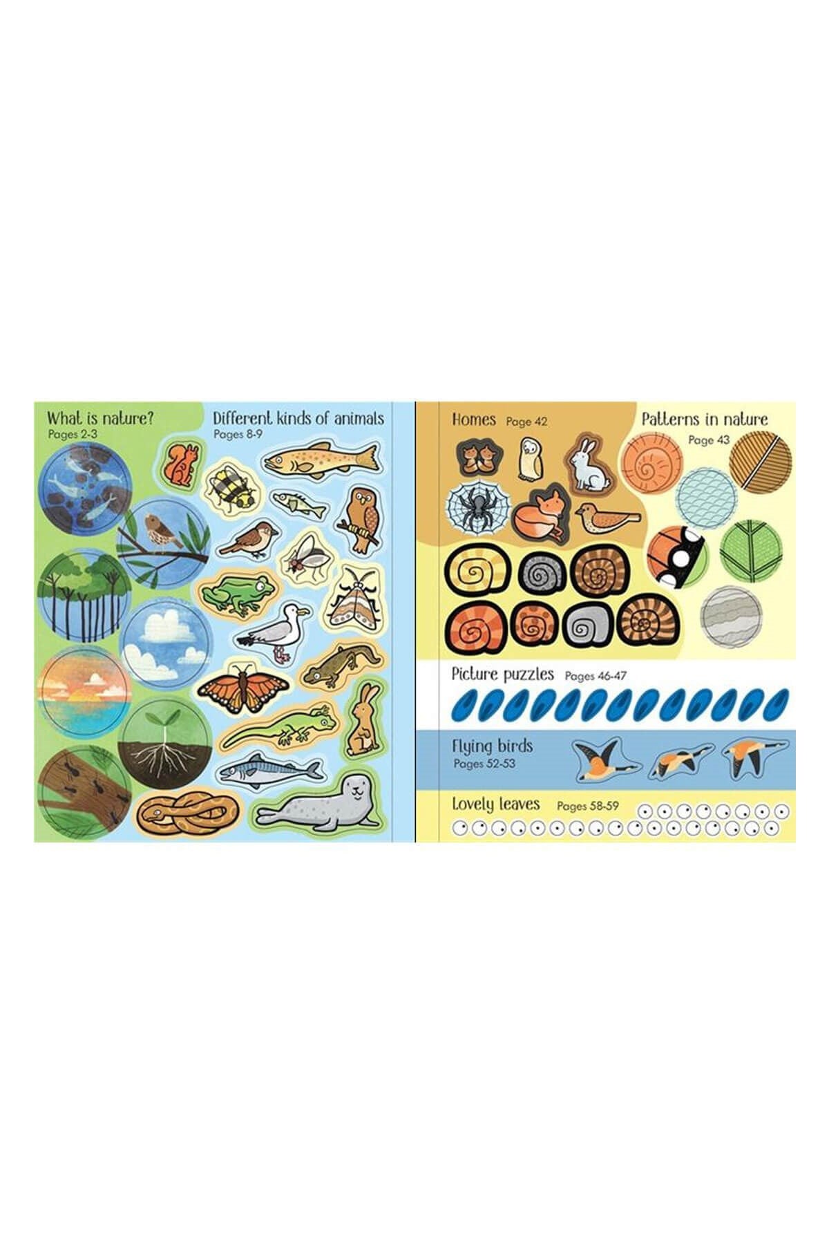 The Usborne Little Childrens Activity Book Nature