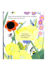 The Usborne Peep Inside Bug Homes