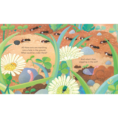 Usborne Peep Inside Under The Ground