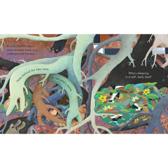 Usborne Peep Inside Under The Ground