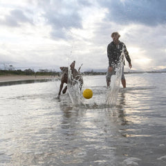 Waboba Fetch Suda Zıplayan Top Köpek Oyuncağı