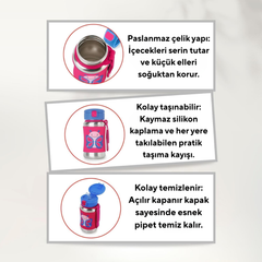 Skip Hop Zoo Paslanmaz Çelik Suluk Rakun 350ml