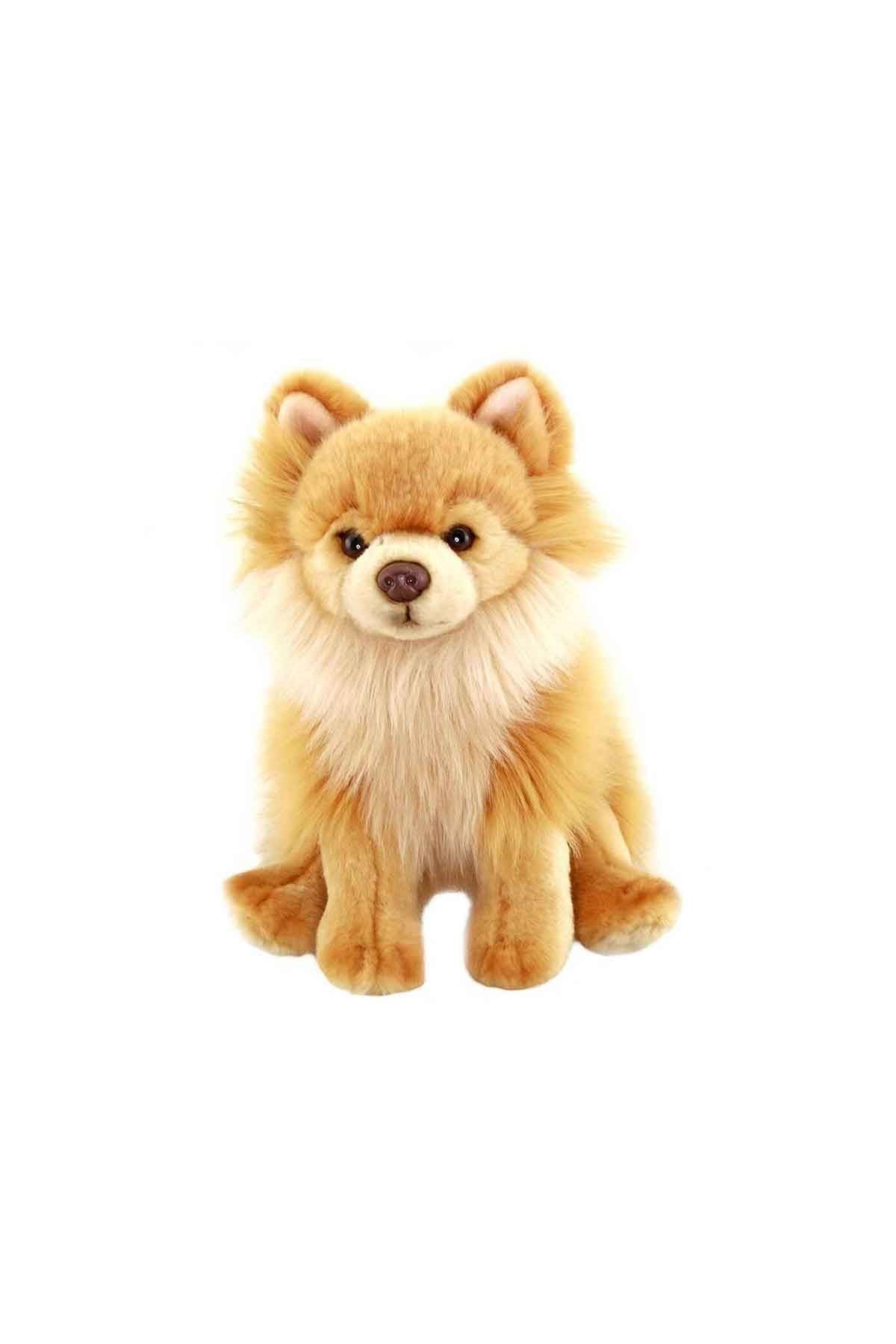 28 cm Floppy Pomeranian