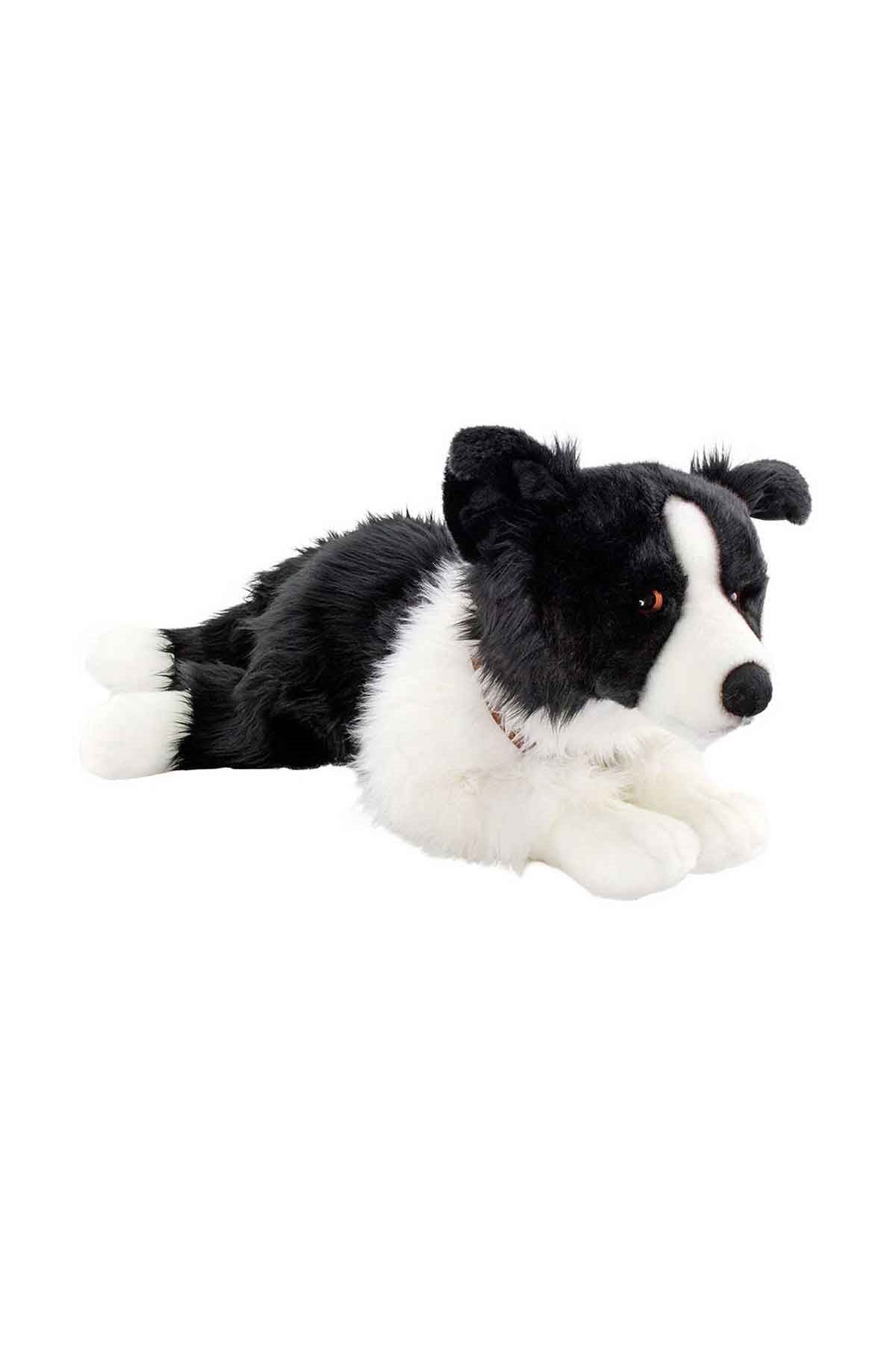 60 cm Yatan Border Collie