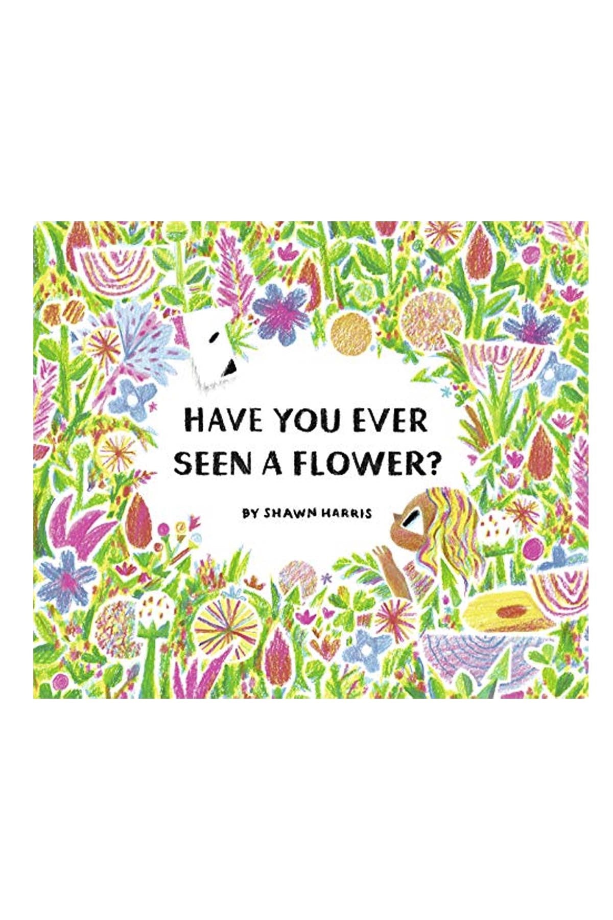 ABR - Have You Ever Seen A Flower?