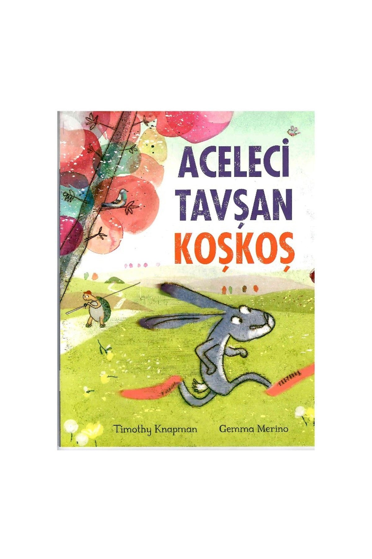 Aceleci Tavşan KoşKoş