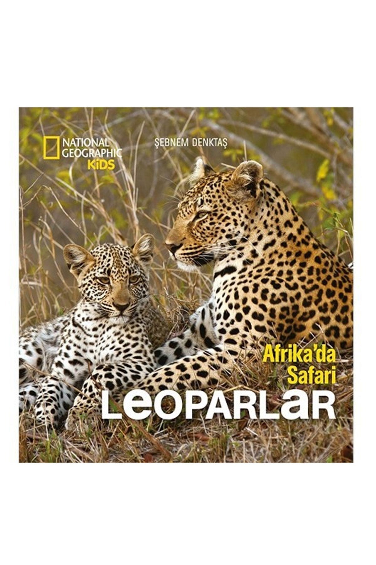 Afrikada Safari Leoparlar