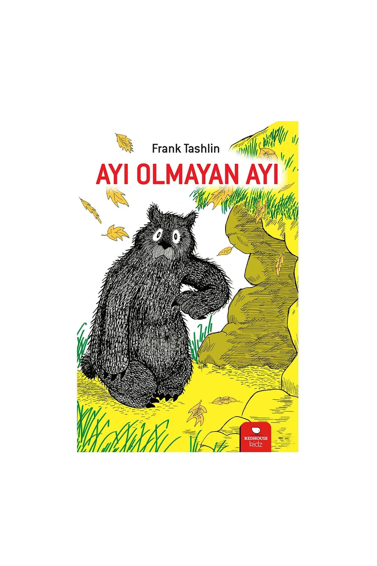 Ayı Olmayan Ayı