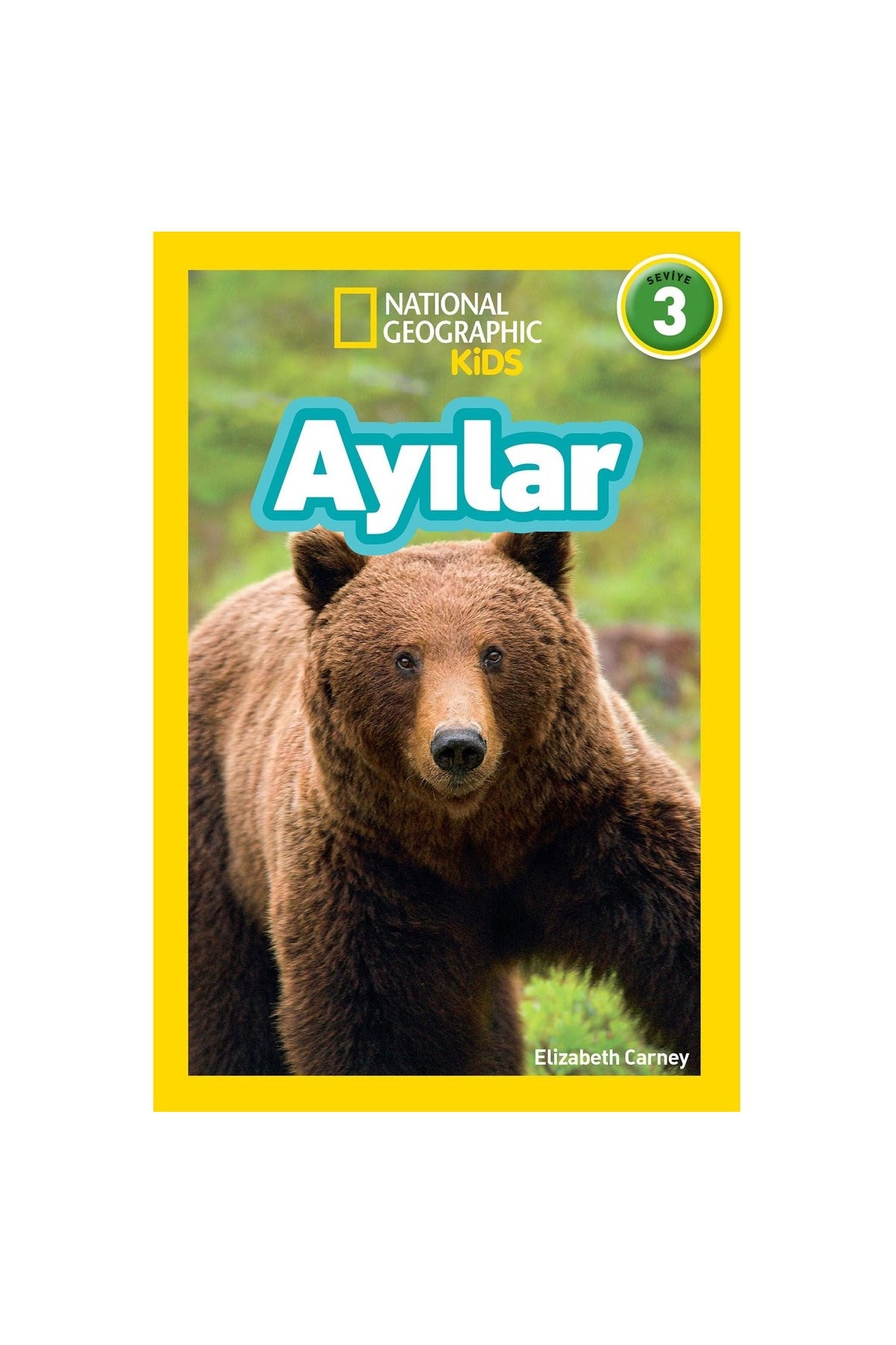 Ayılar