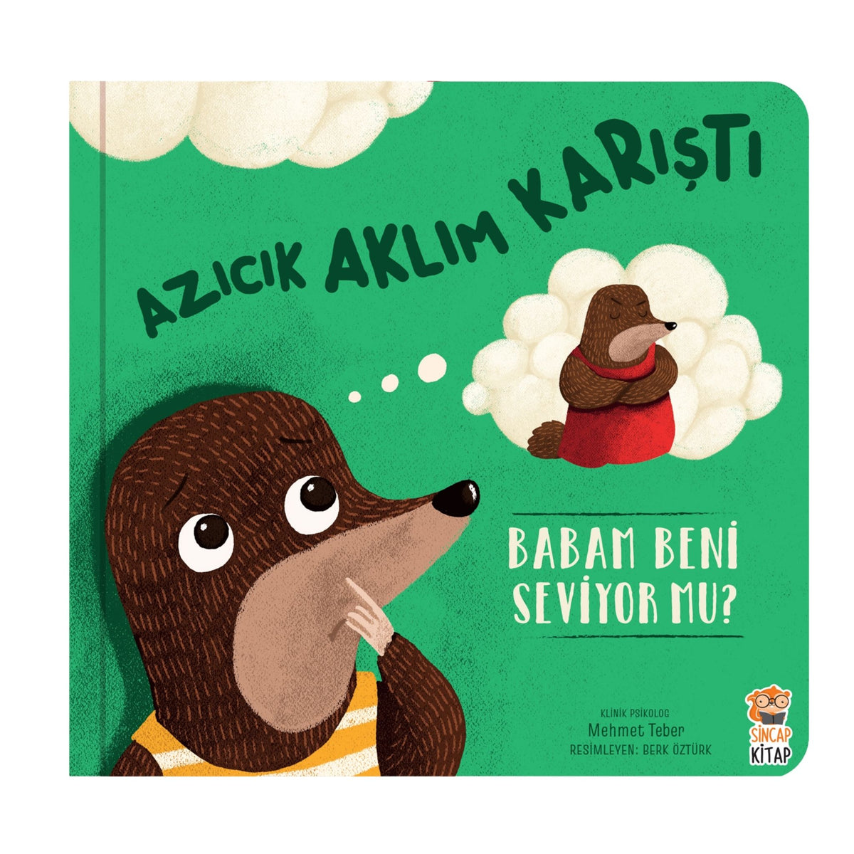 Sincan Kitap Azıcık Aklım Karıştı Babam Beni Seviyor Mu?