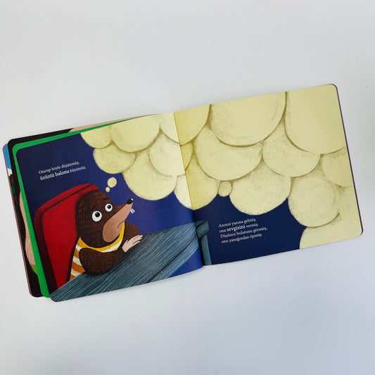 Sincan Kitap Azıcık Aklım Karıştı Babam Beni Seviyor Mu?