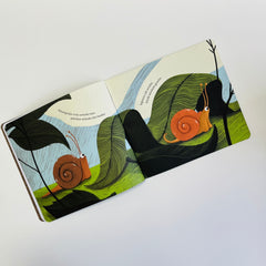 Sincap Kitap Azıcık Aklım Karıştı Set (4 Kitap)