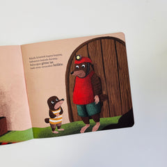 Sincap Kitap Azıcık Aklım Karıştı Set (4 Kitap)