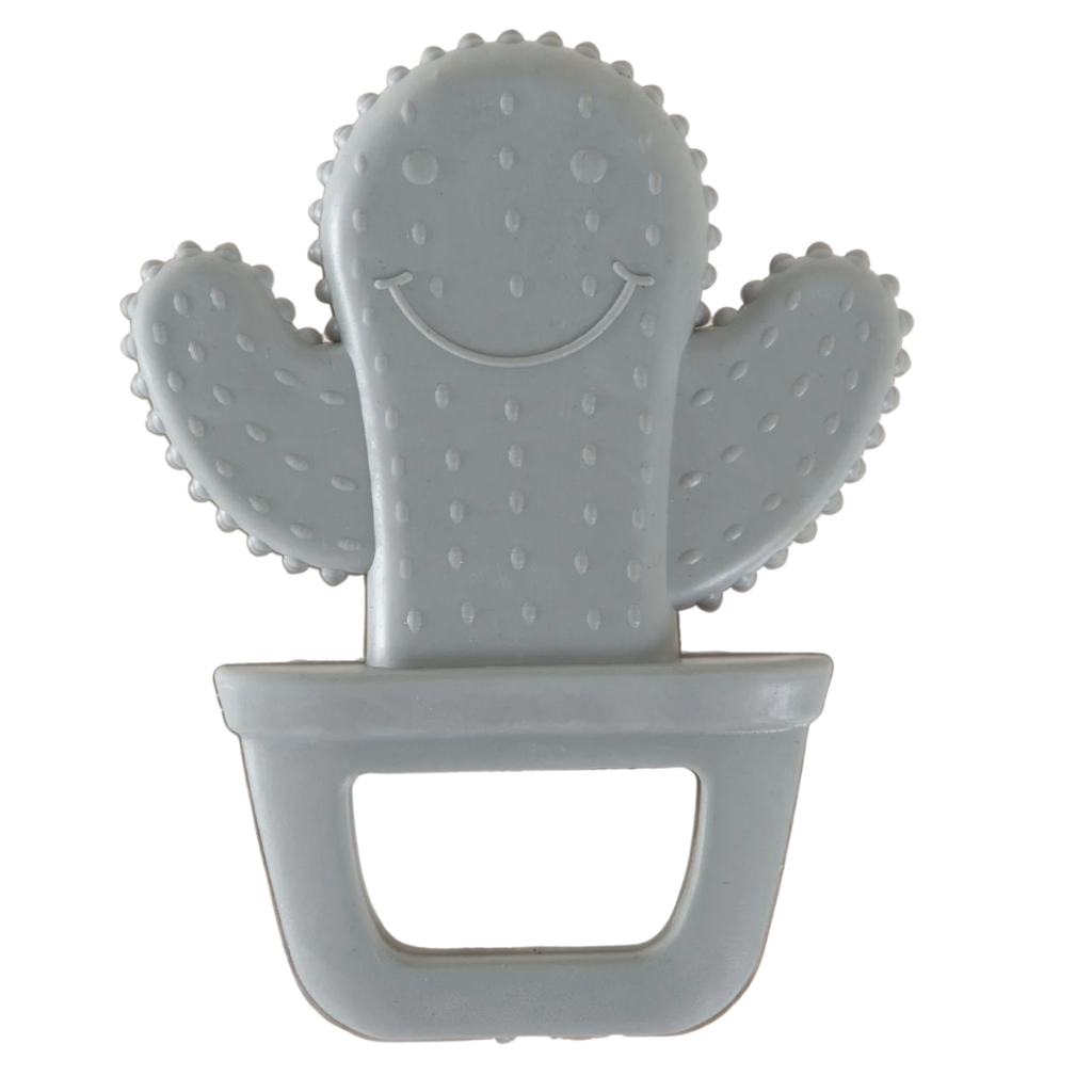 Babyjem Diş Kaşıyıcı Kaktüs Gri