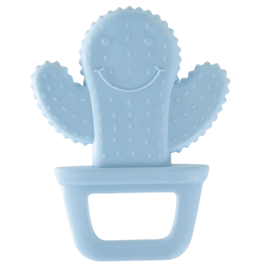 Babyjem Diş Kaşıyıcı Kaktüs Mavi