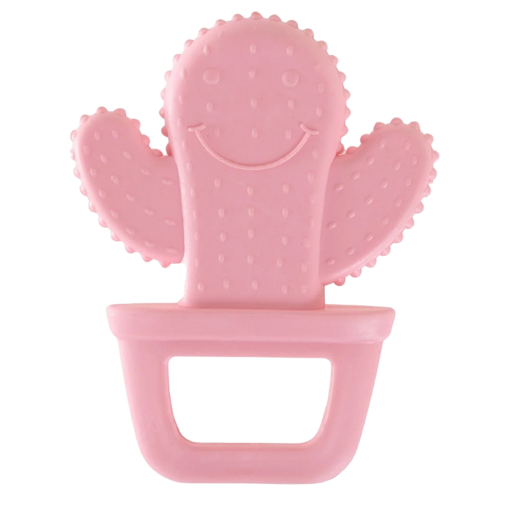 Babyjem Diş Kaşıyıcı Kaktüs Pembe