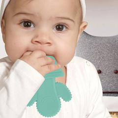 Babyjem Diş Kaşıyıcı Kaktüs Yeşil