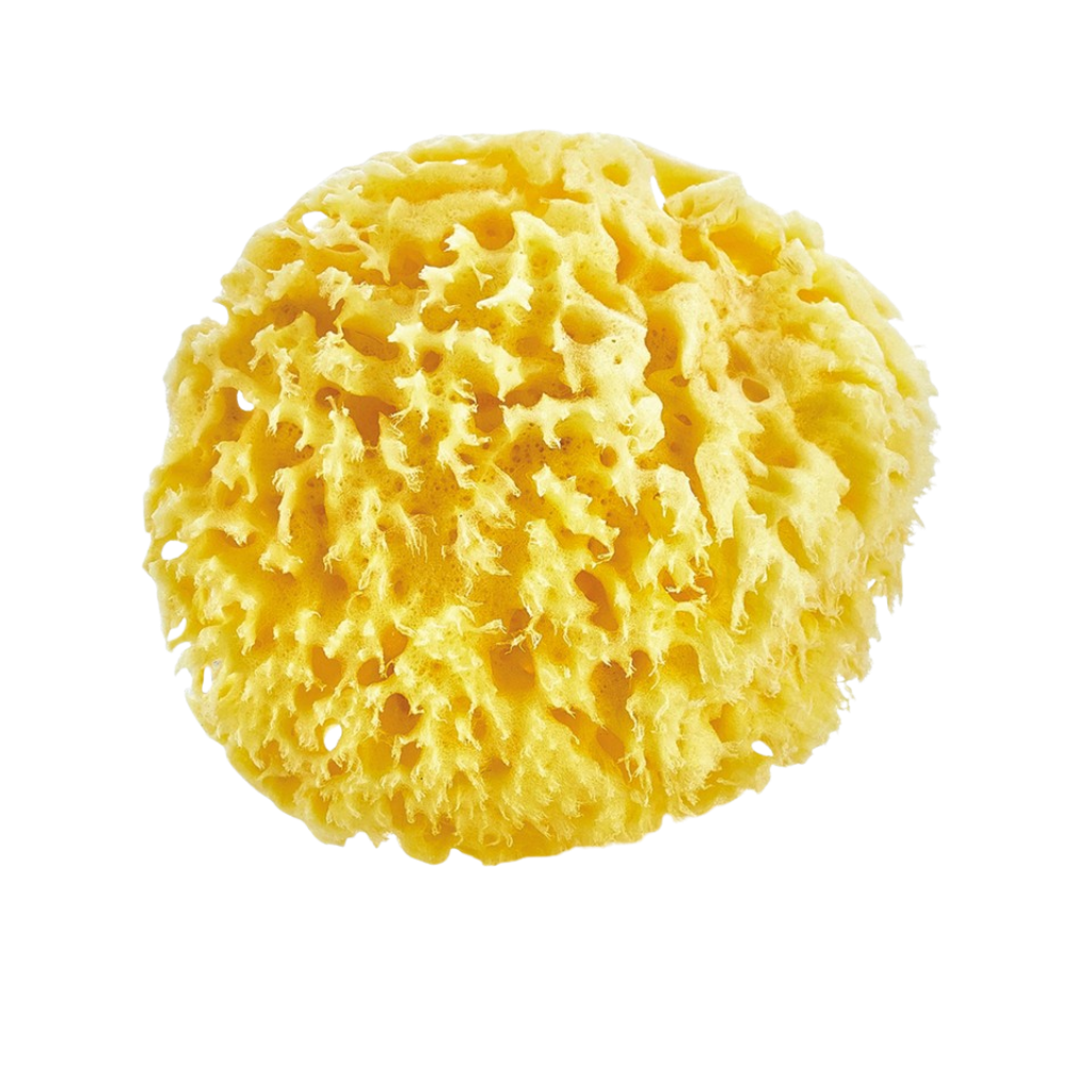 Babyjem Doğal Deniz Süngeri