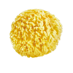 Babyjem Doğal Deniz Süngeri