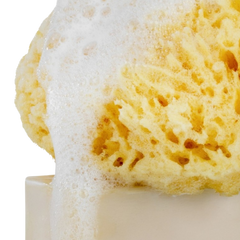 Babyjem Doğal Deniz Süngeri