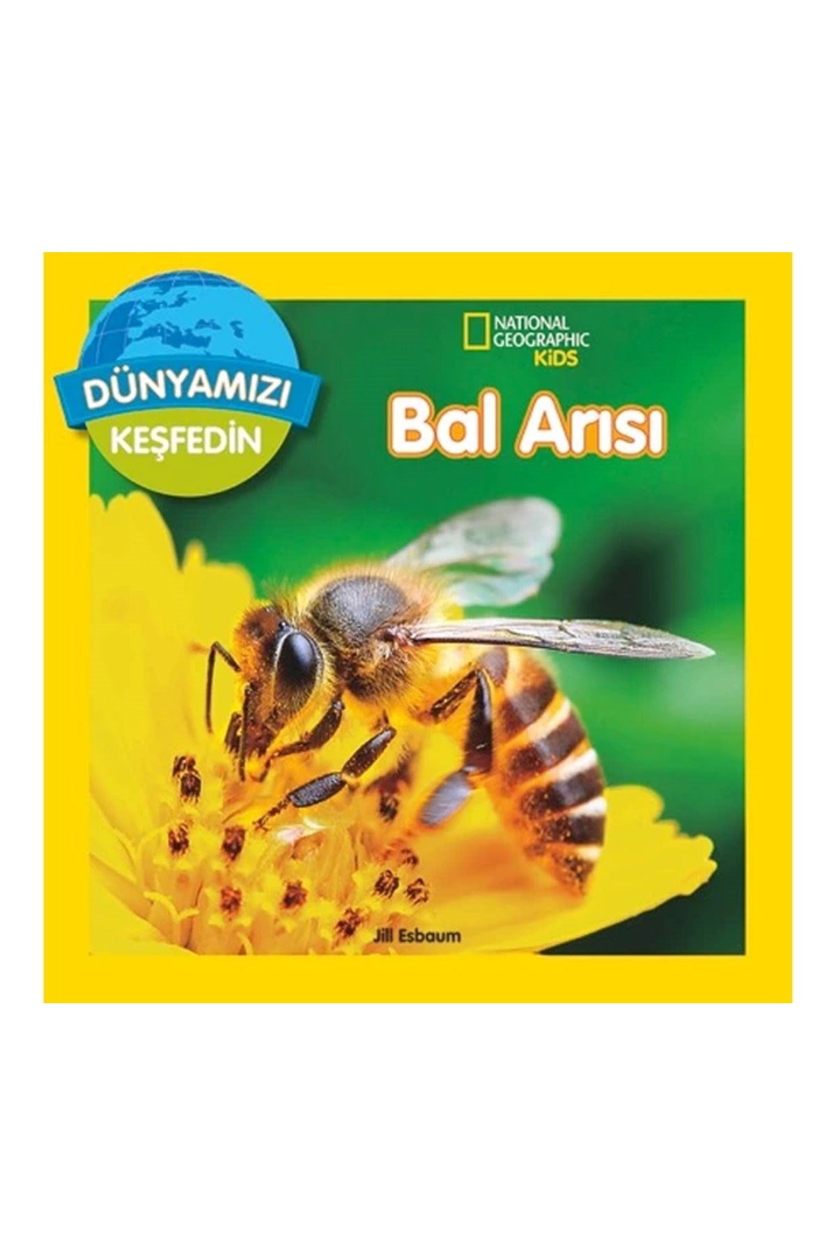 Bal Arıları