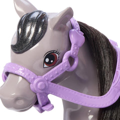 Barbie Chelsea Bebek ve Midilli HTK29