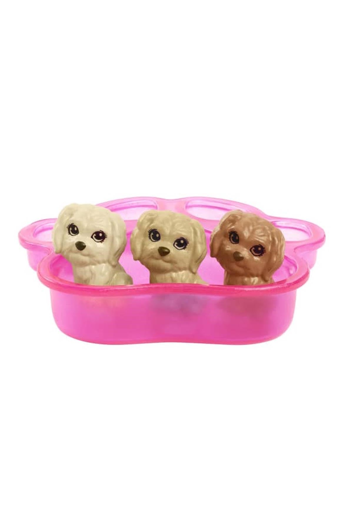 Barbie ve Yeni Doğan Köpekler Oyun Seti HCK75