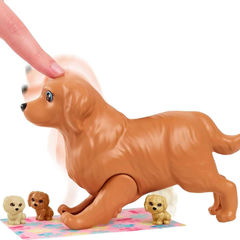 Barbie ve Yeni Doğan Köpekler Oyun Seti HCK75