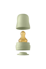 Bibs Baby Bottle Complete Set 100ml Sage - Welcome Baby