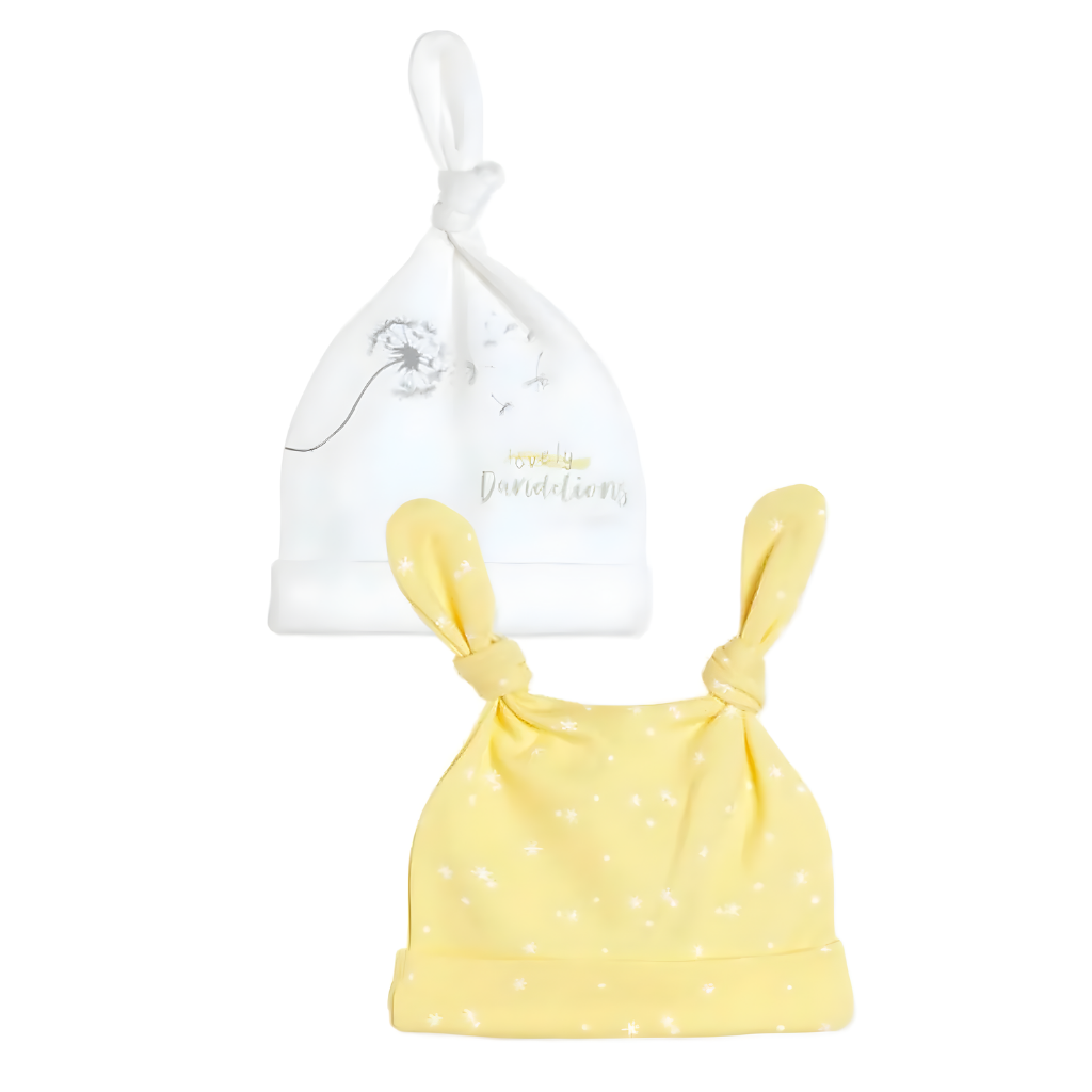 Biorganic Fly Dandelions 2'li Şapka - Welcome Baby