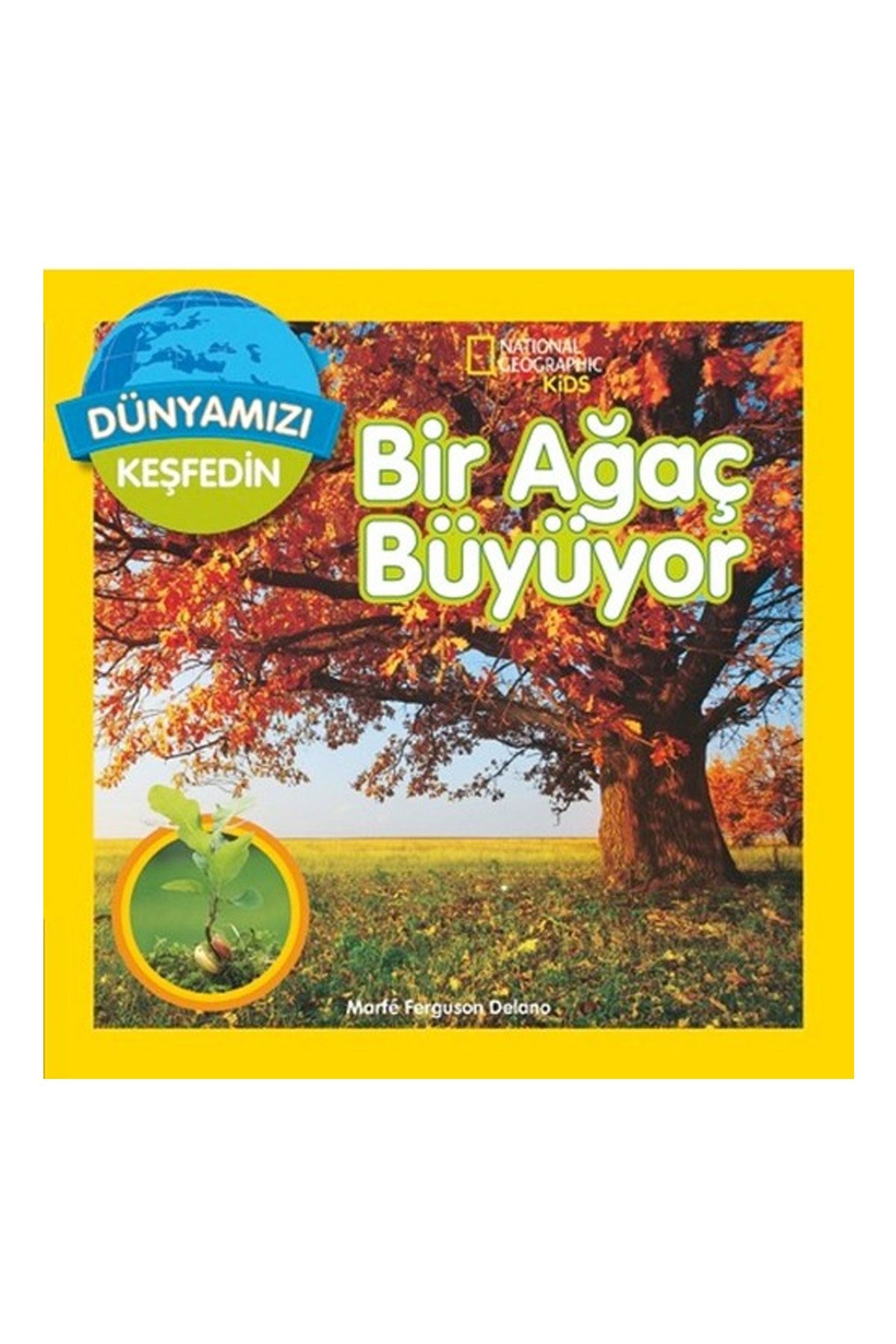 Bir Ağaç Büyüyor