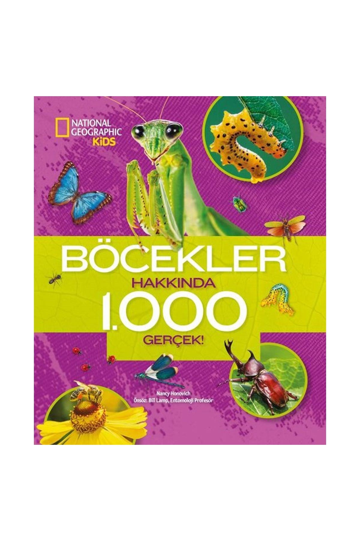 Böcekler Hakkında 1000 Gerçek!